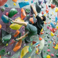 画像9: FANTASISTA CLIMBING ファンタジスタクライミング Powered Half Pants パワードハーフパンツ (9)