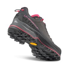 画像2: LA SPORTIVA スポルティバ  TX5 EVO WOMAN GTX (ローカットモデル) (2)