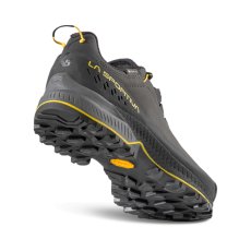 画像2: LA SPORTIVA スポルティバ  TX5 EVO GTX (ローカットモデル) (2)