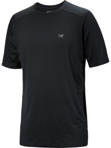画像2: Arc'teryx アークテリクス イオニア メリノウール ショートスリーブ メンズ (2)