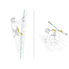 画像7: ★PETZL ペツル アサップ (B070AB00)【2026年6月新モデル】 (7)