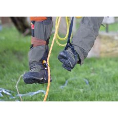 画像6: PETZL ペツル パンタン クリック (6)