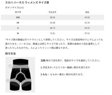画像3: 【特別価格20％OFF】Arc'teryx アークテリクス スカハハーネス ウィメンズ　Mサイズ (3)