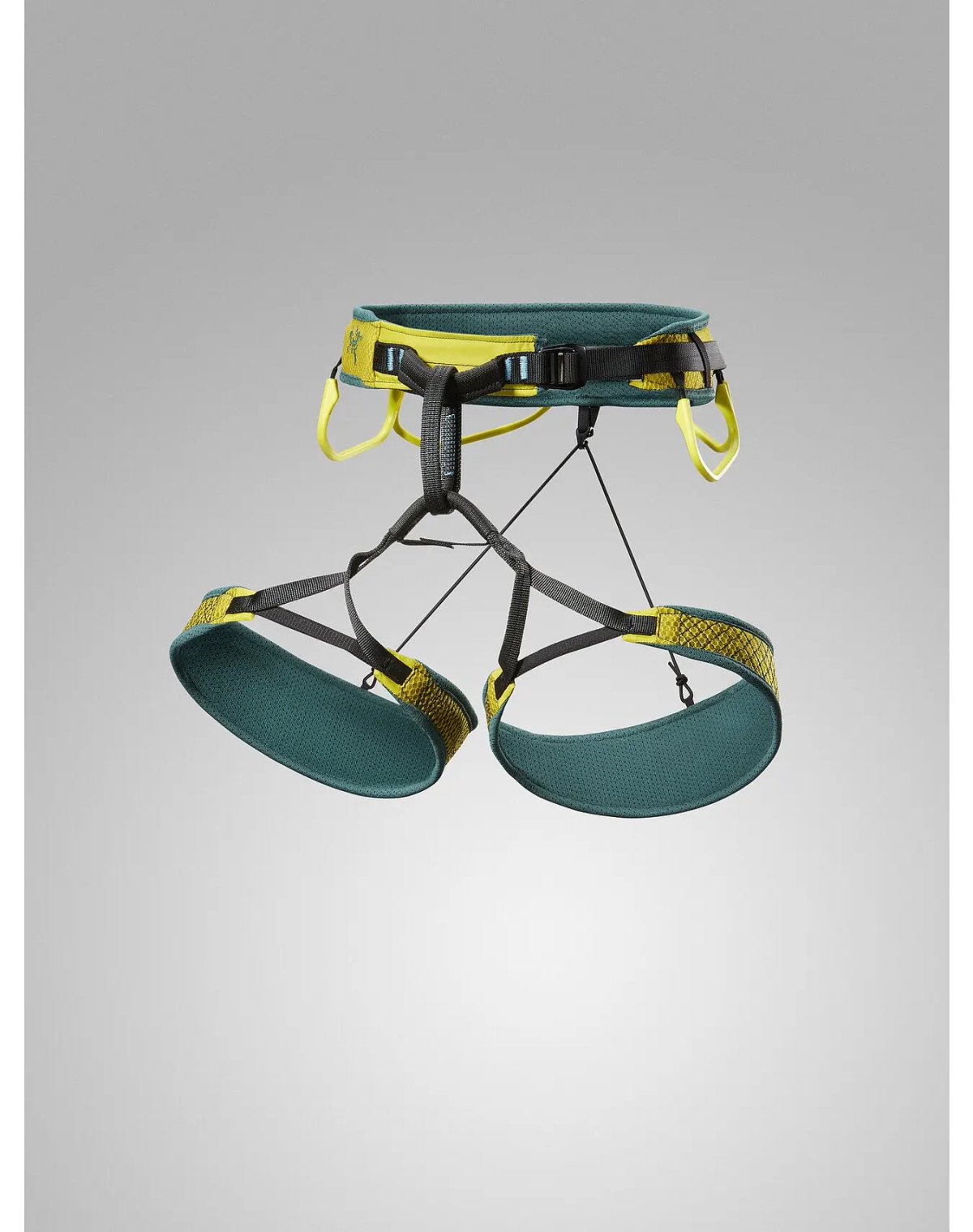 画像1: 【特別価格20％OFF】Arc'teryx アークテリクス スカハハーネス ウィメンズ　Mサイズ (1)