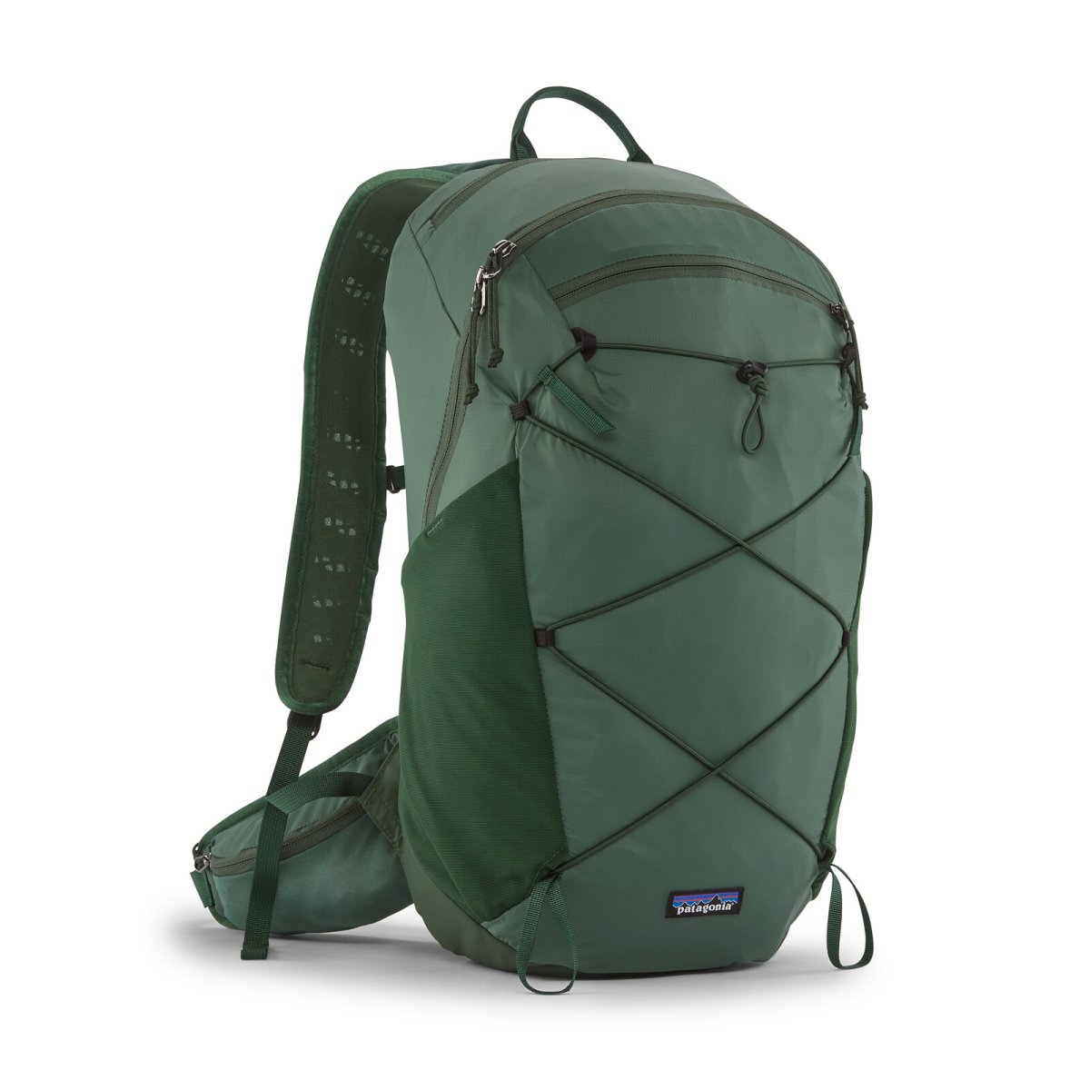 画像7: patagonia パタゴニア テラヴィア・パック 22L (7)