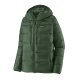 Canopy Green