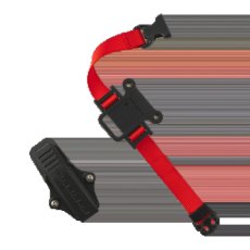 画像1: DMM ディーエムエム Caiman カイマン (BC100) [取り寄せ対応品] (1)