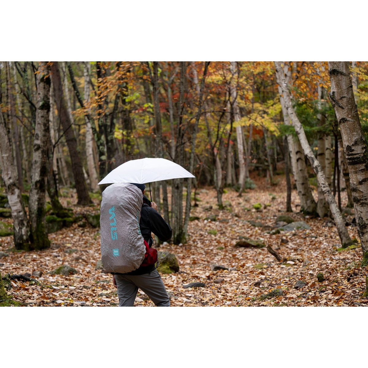 画像5: EVERNEW エバニュー Airy L.F umbrella (EBYR771) (5)