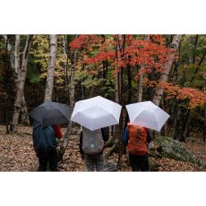 画像6: EVERNEW エバニュー Airy L.F umbrella (EBYR771) (6)