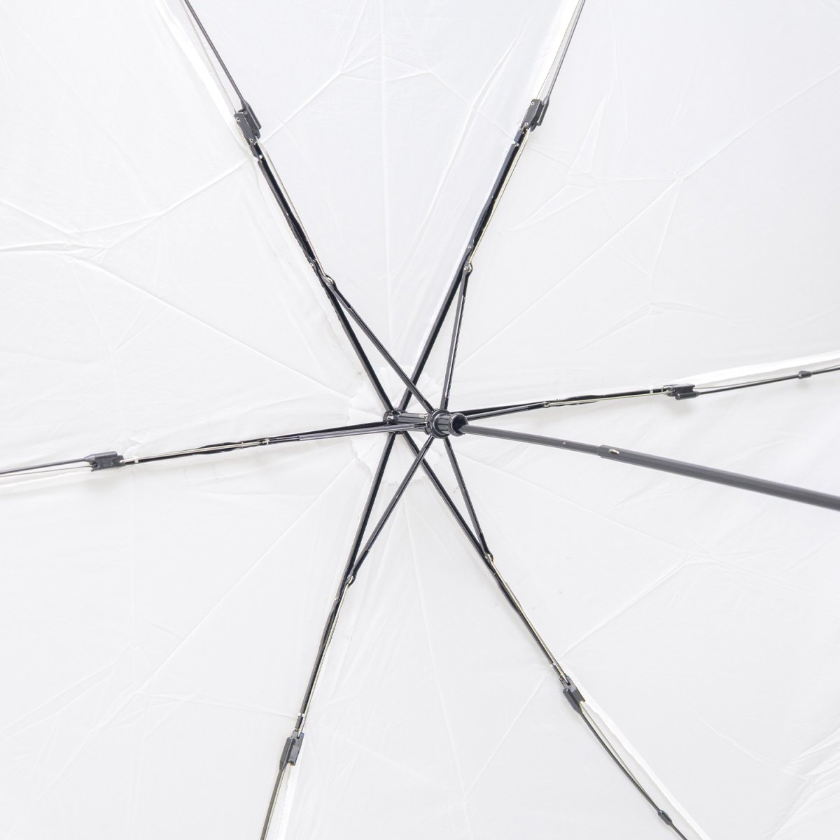 画像4: EVERNEW エバニュー Airy wide U.L. umbrella (EBYR773) (4)