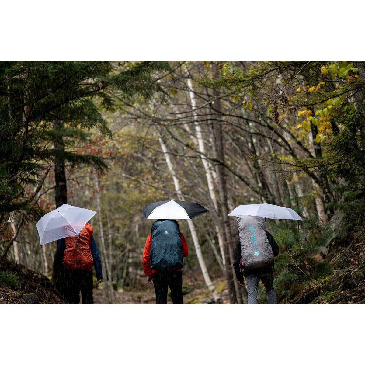 画像7: EVERNEW エバニュー Airy wide U.L. umbrella (EBYR773) (7)