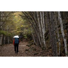 画像8: EVERNEW エバニュー Trail Shade (EBYR774) (8)
