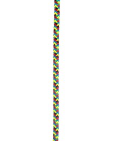 画像5: EDELRID エーデルリッド X-P*e 12.3mm エックス ピー イー 12.3mm (ER88951) [取り寄せ対応品] (5)