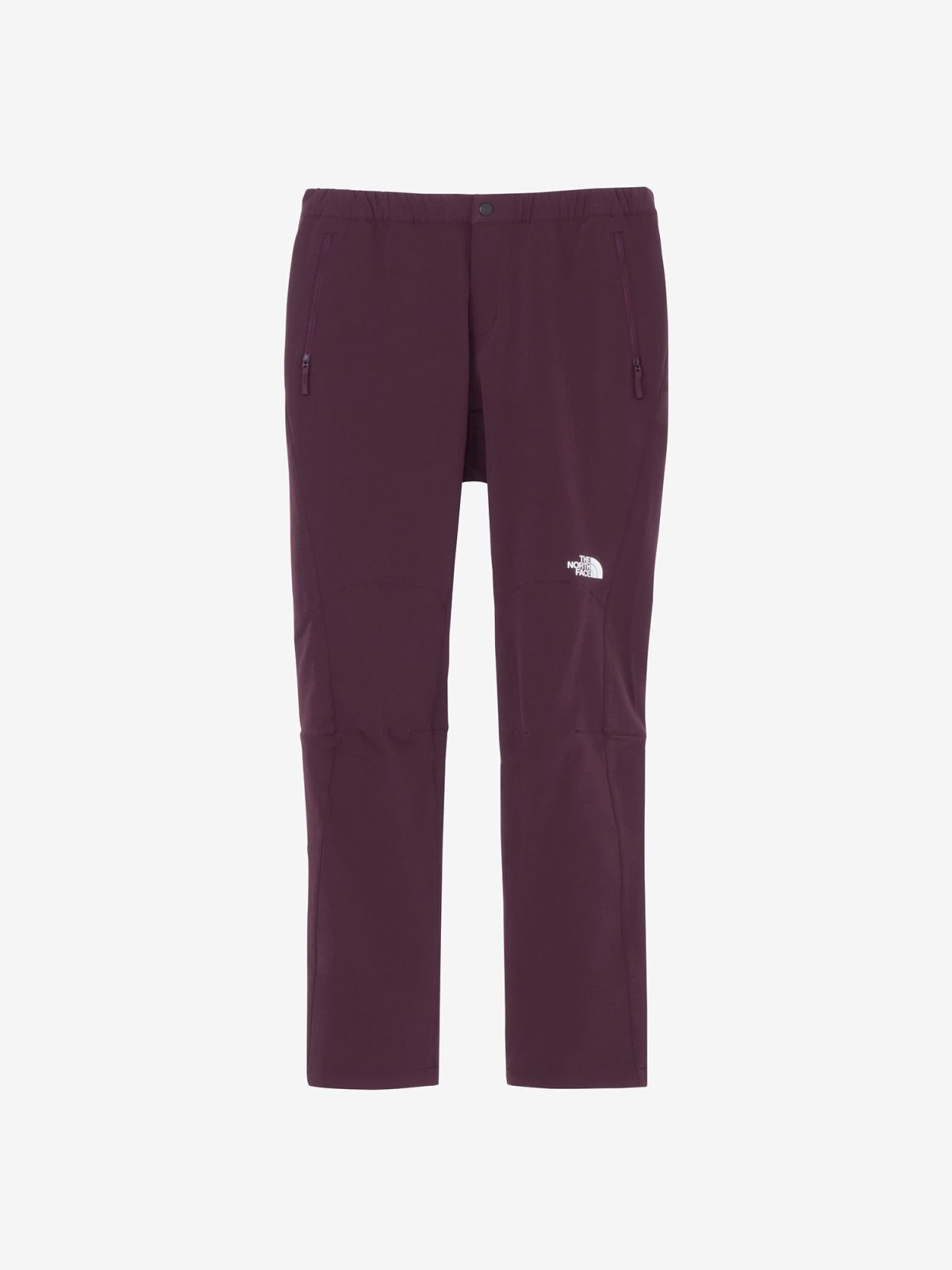 画像1: The North Face ノース・フェイス アルパインライトパンツ ウィメンズ (NBW82501) (1)