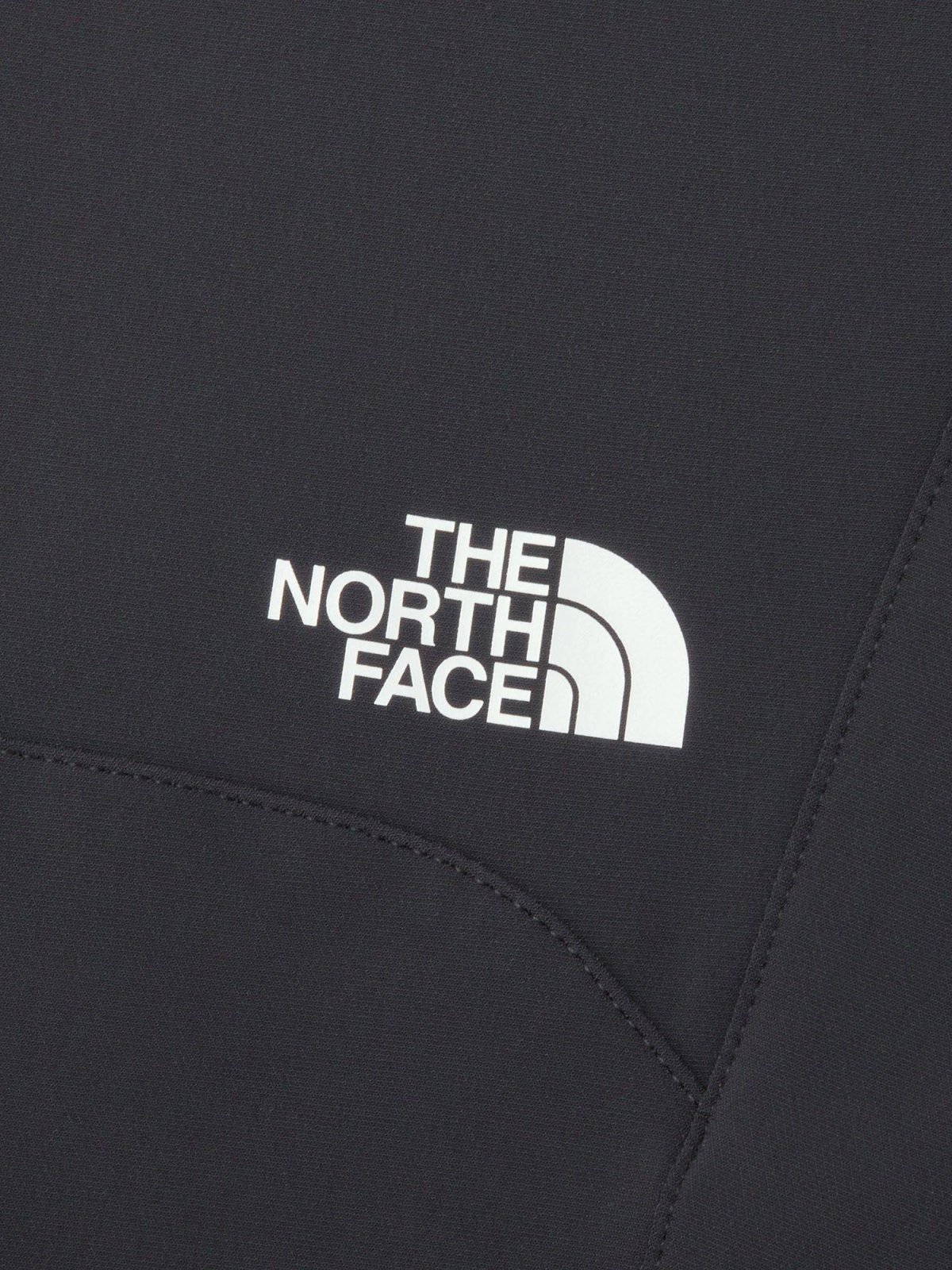 画像19: The North Face ノース・フェイス アルパインライトパンツ ウィメンズ (NBW82501) (19)