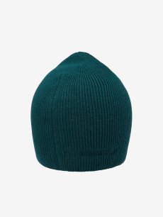 画像2: The North Face ノース・フェイス エンデュランスビーニー ユニセックス (NN42172) (2)