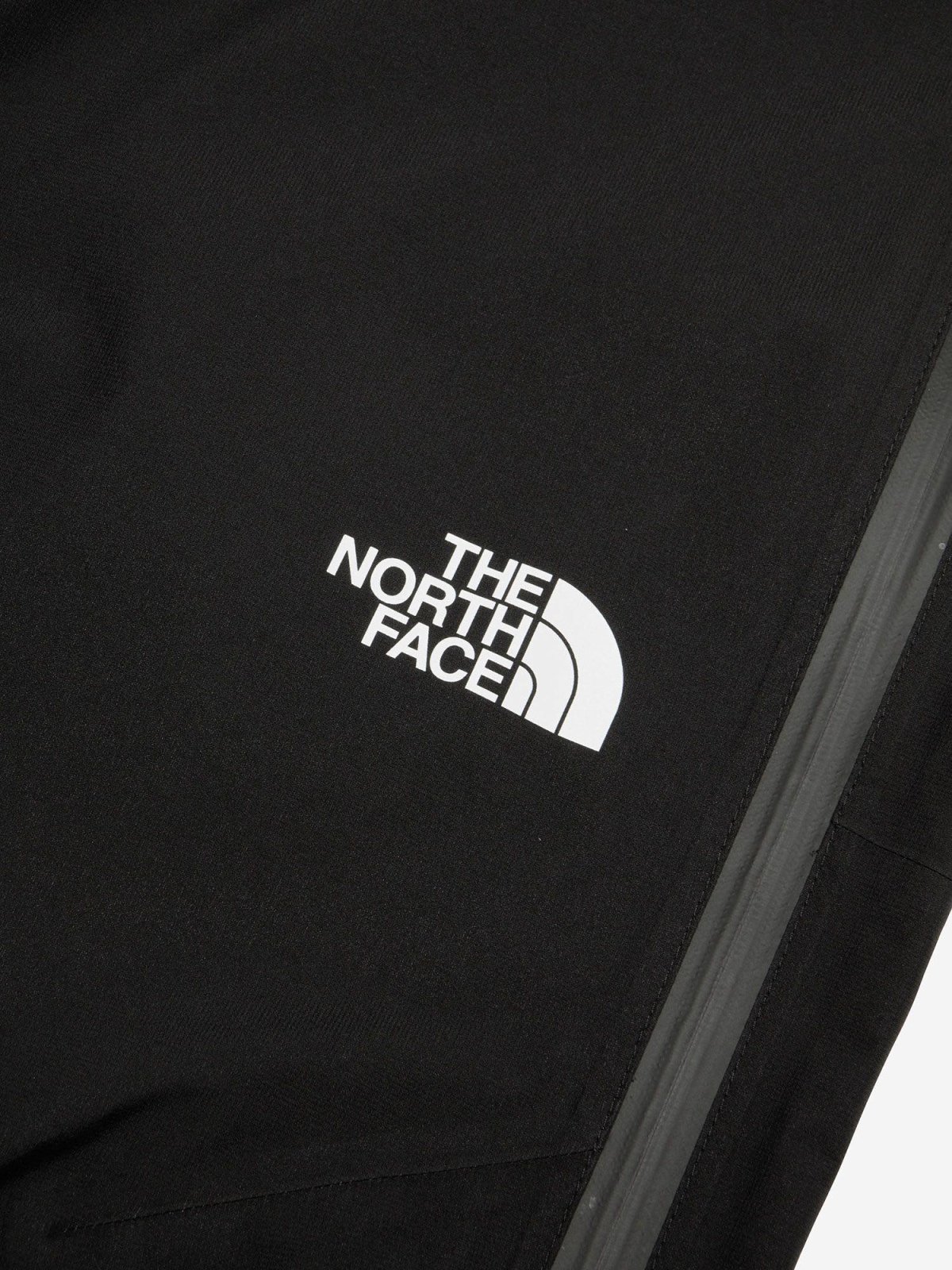 画像16: The North Face ノース・フェイス クライムライトジップパンツ メンズ (NP12502) (16)