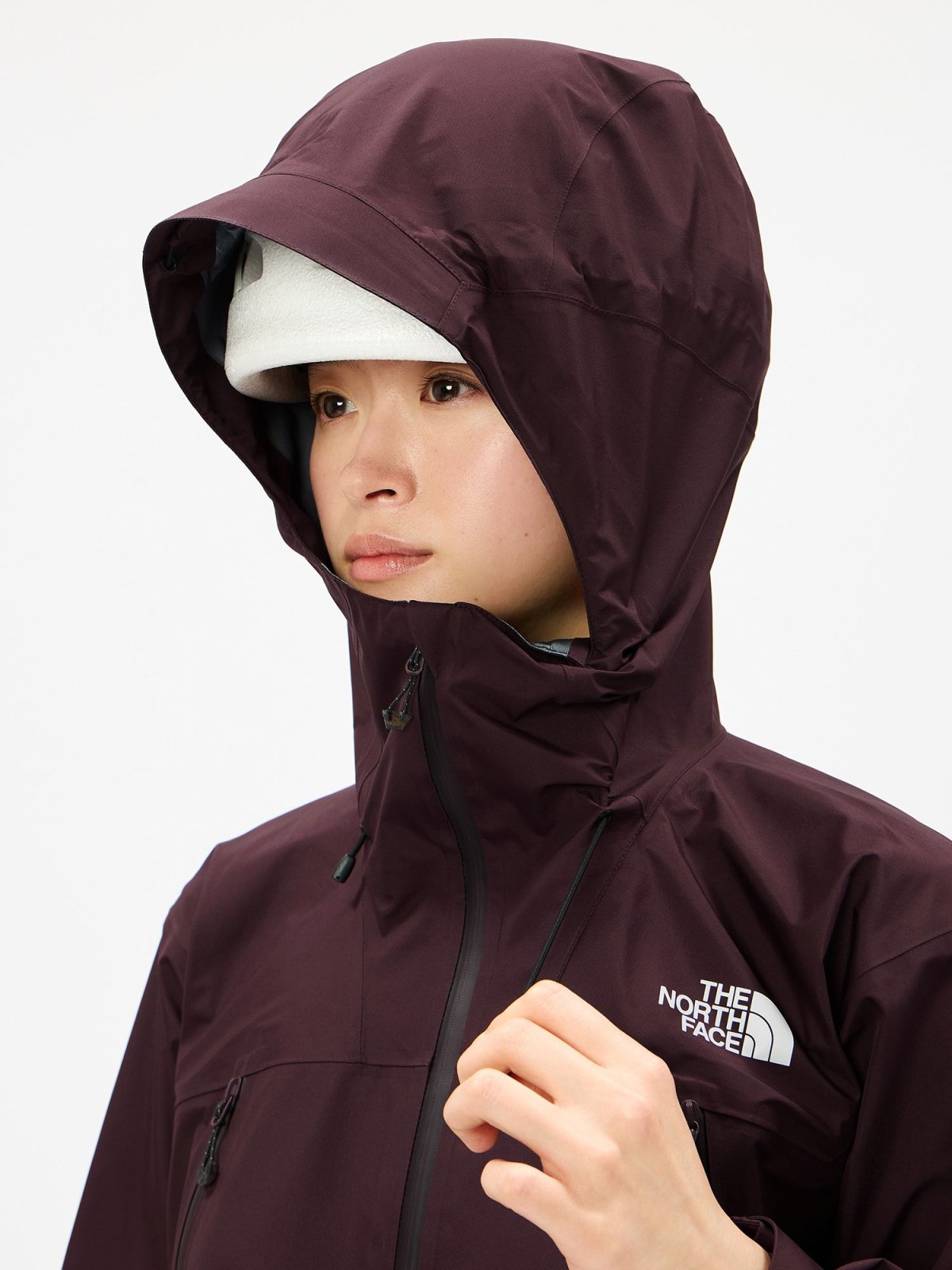 画像10: The North Face ノース・フェイス クライムライトジャケット ウィメンズ (NPW12501) (10)