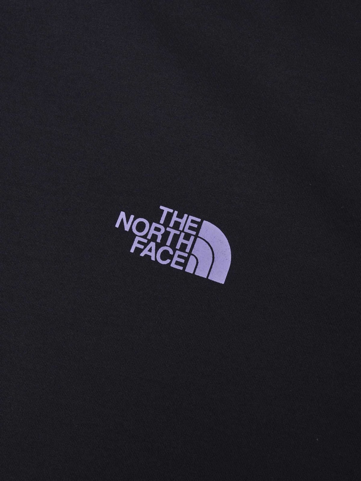 画像6: The North Face ノース・フェイス ショートスリーブ ES 66グラフィックワイドティー メンズ (NT82672) (6)