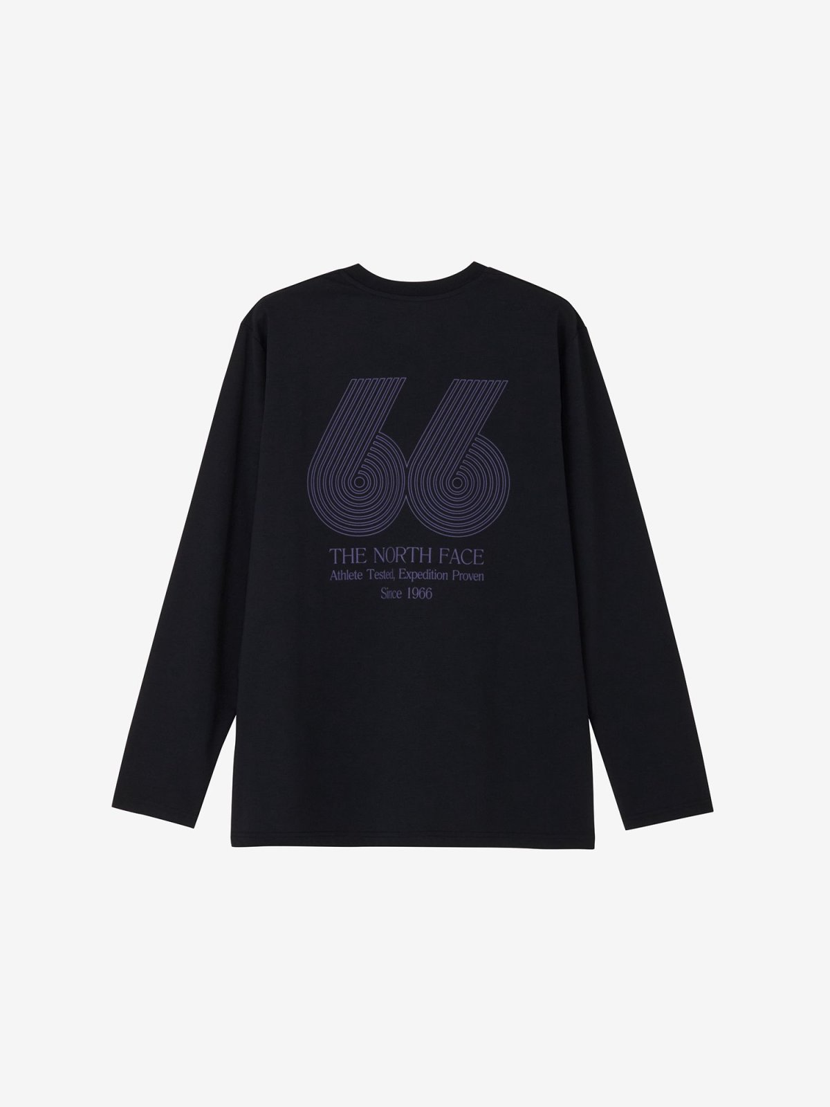 画像1: The North Face ノース・フェイス ロングスリーブ ES 66グラフィックティー メンズ (NT82673) (1)