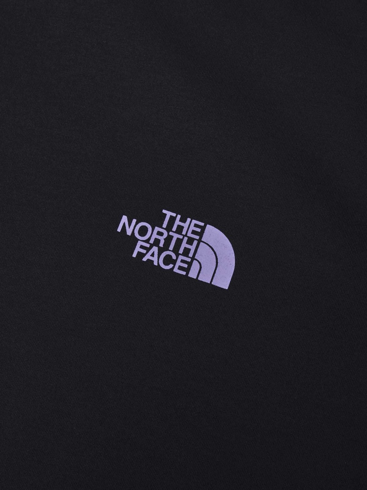 画像10: The North Face ノース・フェイス ロングスリーブ ES 66グラフィックティー メンズ (NT82673) (10)