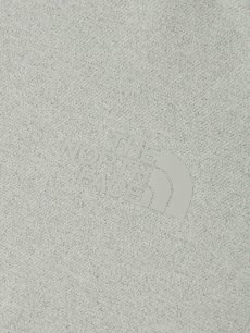 画像10: The North Face ノース・フェイス ロングスリーブフラッシュドライアクションクルー ウィメンズ (NTW82581) (10)