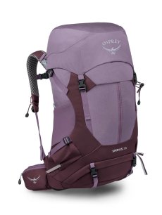 画像1: OSPREY オスプレー シラス36 (OS50372) (1)
