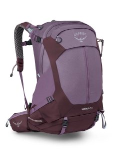 画像1: OSPREY オスプレー シラス34 (OS50373) (1)