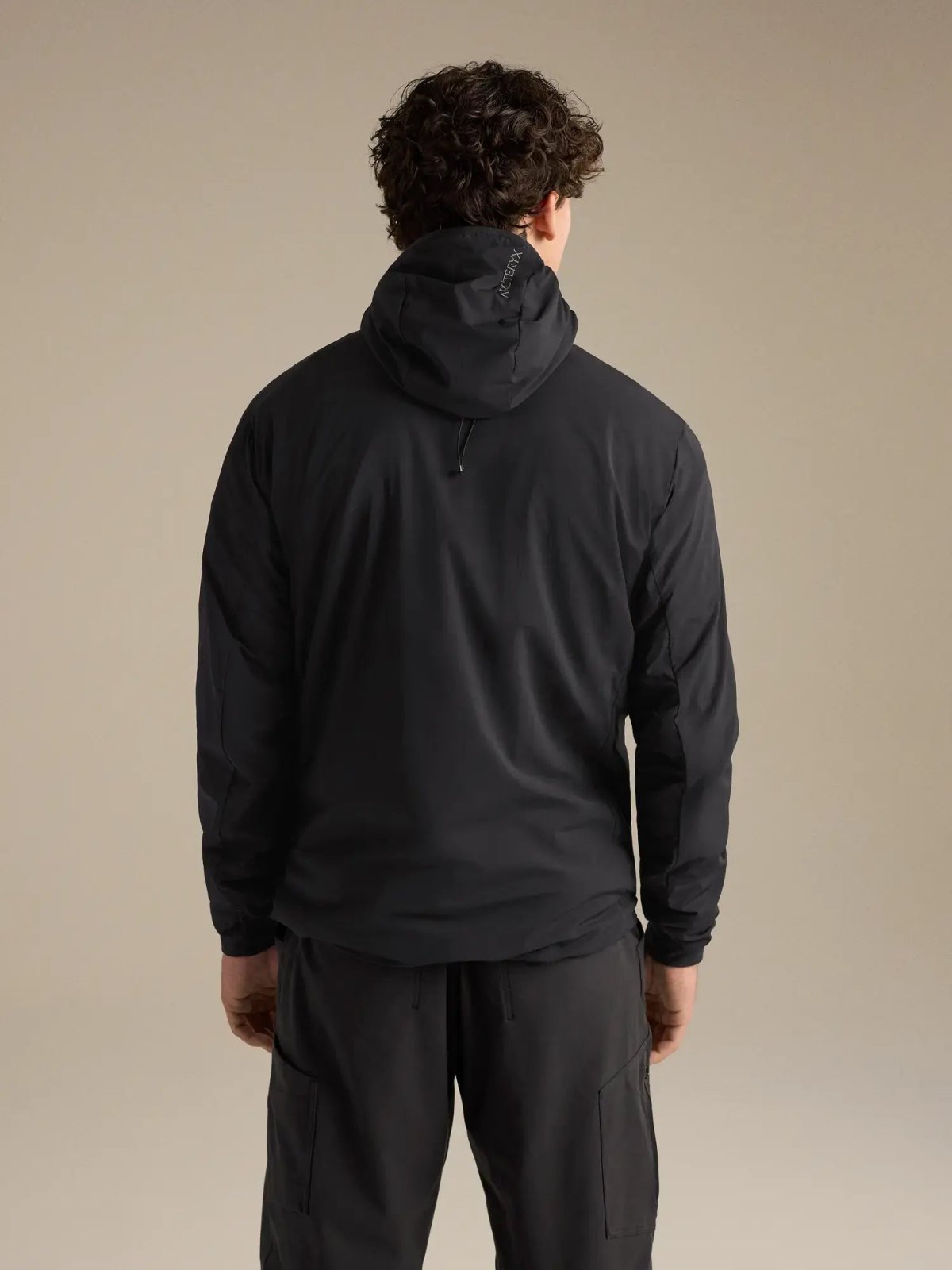 画像4: Arc'teryx アークテリクス プロトン SL フーディ メンズ (X000009557) (4)