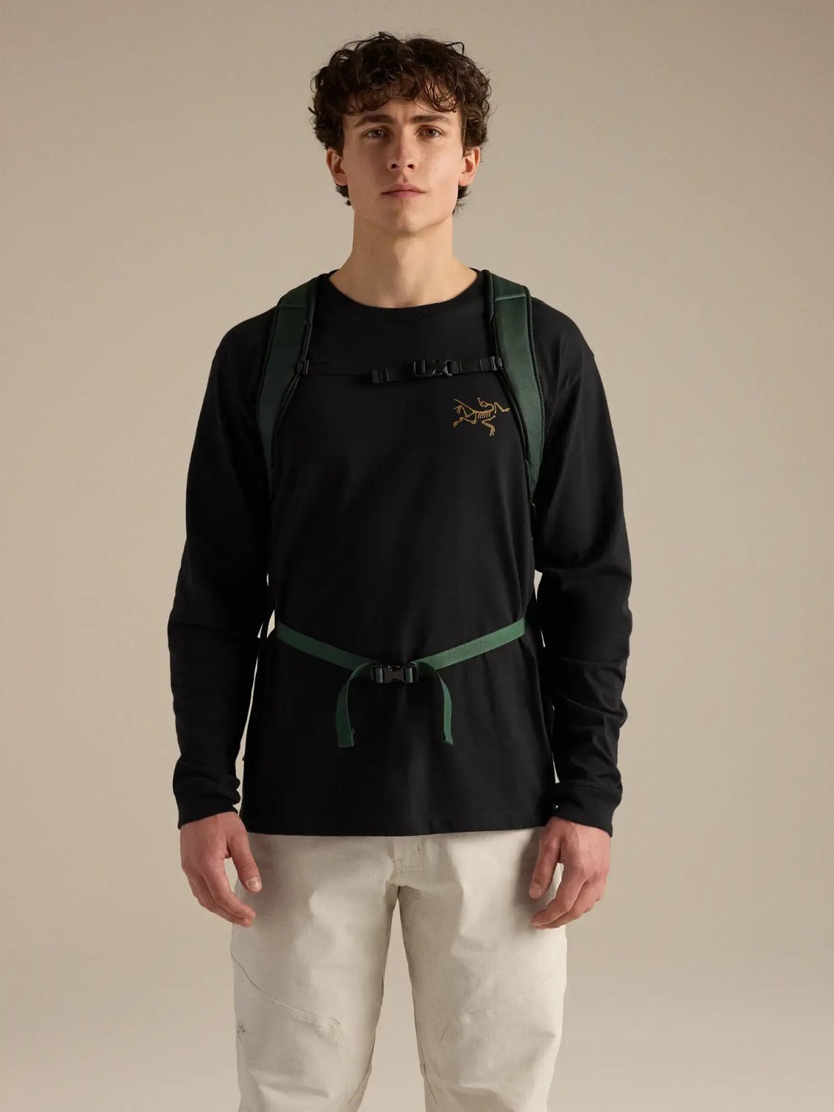 画像4: Arc'teryx アークテリクス マンティス 26 バックパック (X000009825) (4)