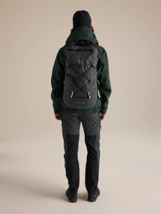 画像5: Arc'teryx アークテリクス アルファ FL 30 バックパック (X000010349) (5)