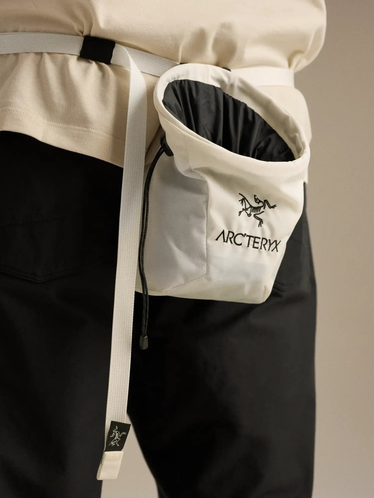 画像8: Arc'teryx アークテリクス イオン SL チョークバッグ (X000010364) (8)