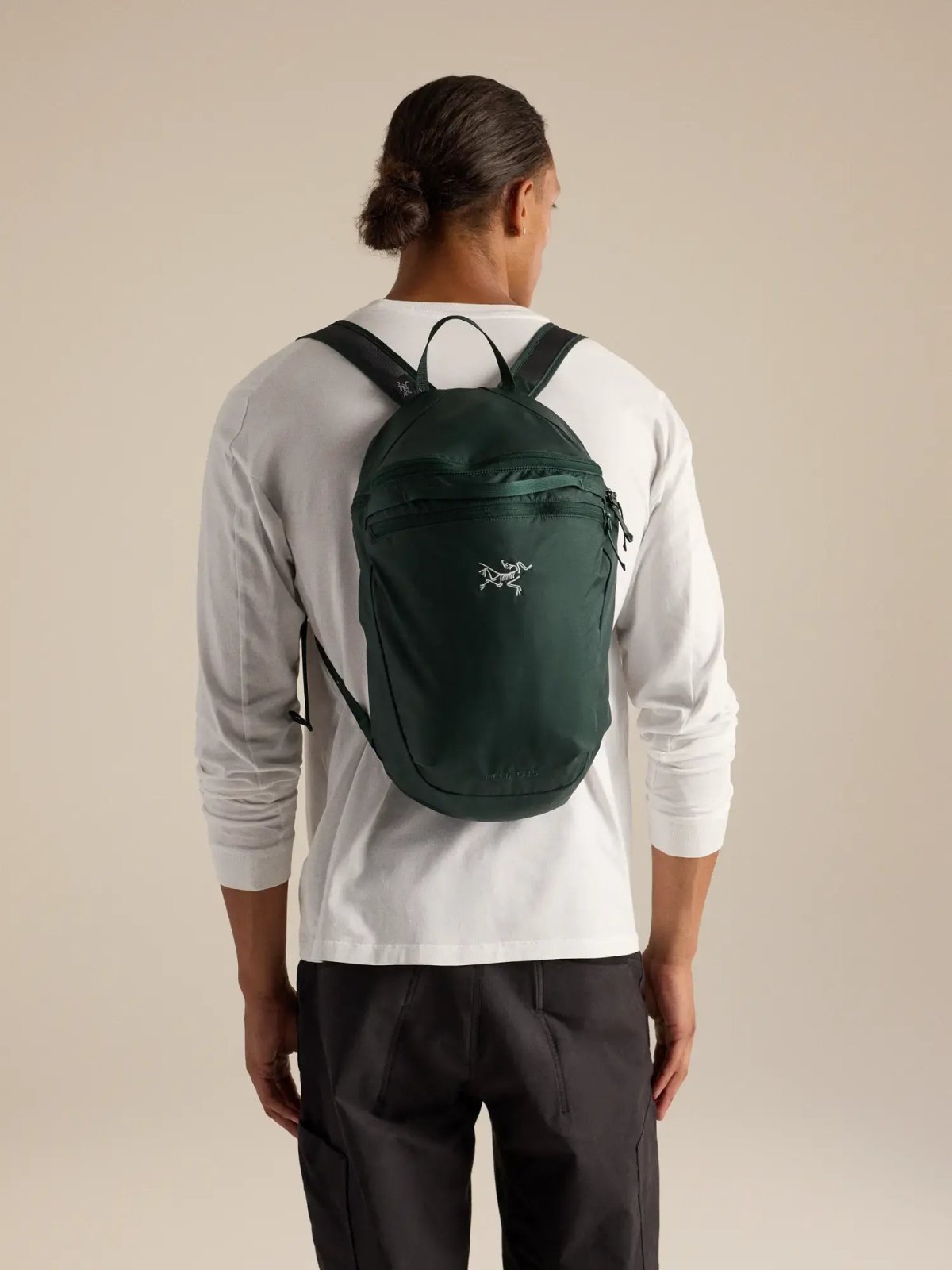 画像2: Arc'teryx アークテリクス ヒリアド 15 バックパック (X000010403) (2)