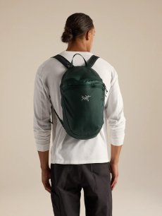 画像2: Arc'teryx アークテリクス ヒリアド 15 バックパック (X000010403) (2)