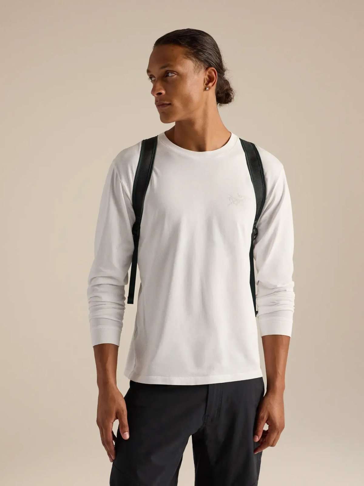 画像4: Arc'teryx アークテリクス ヒリアド 15 バックパック (X000010403) (4)