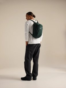 画像5: Arc'teryx アークテリクス ヒリアド 15 バックパック (X000010403) (5)