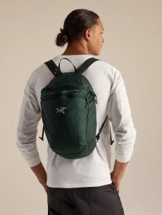 画像7: Arc'teryx アークテリクス ヒリアド 15 バックパック (X000010403) (7)