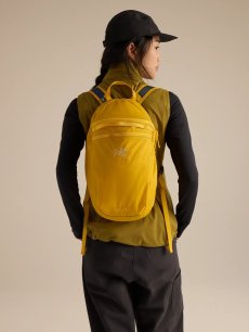 画像20: Arc'teryx アークテリクス ヒリアド 15 バックパック (X000010403) (20)