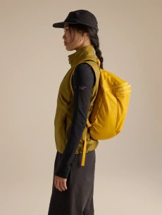 画像21: Arc'teryx アークテリクス ヒリアド 15 バックパック (X000010403) (21)
