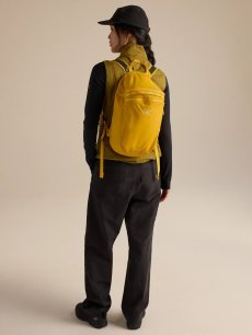 画像23: Arc'teryx アークテリクス ヒリアド 15 バックパック (X000010403) (23)