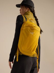 画像25: Arc'teryx アークテリクス ヒリアド 15 バックパック (X000010403) (25)