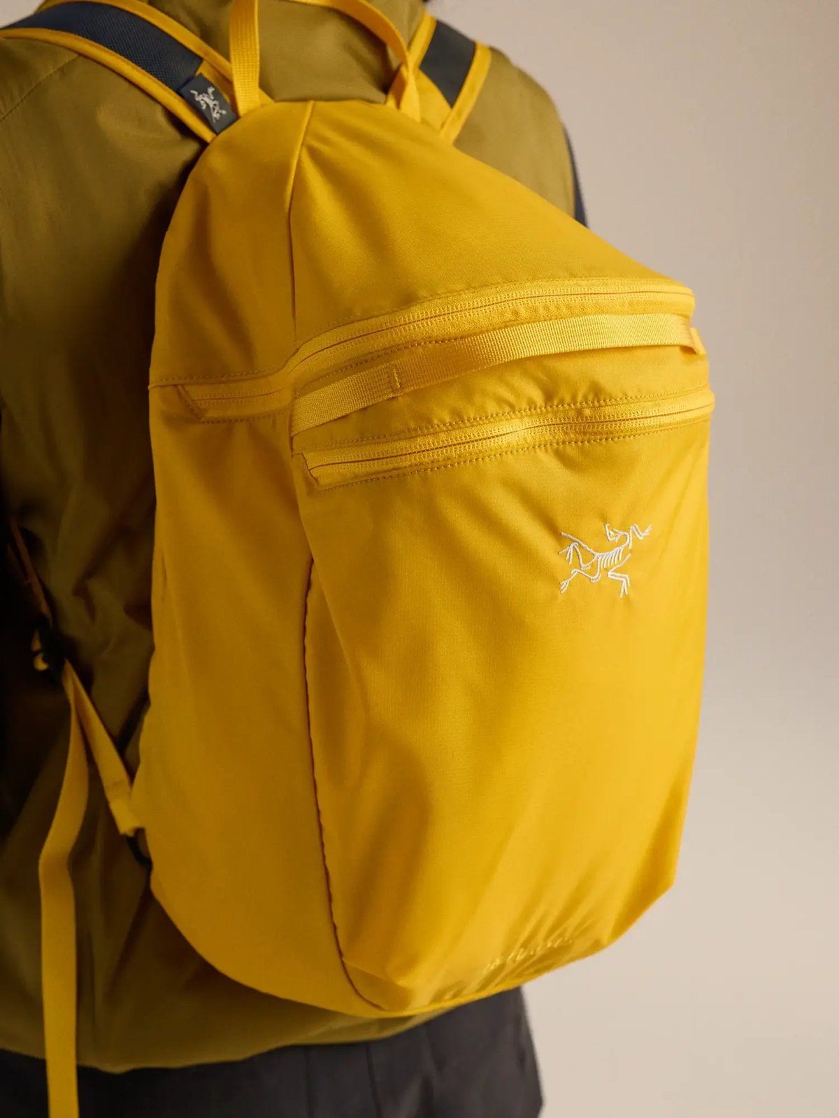 画像26: Arc'teryx アークテリクス ヒリアド 15 バックパック (X000010403) (26)