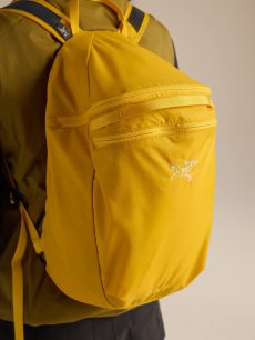 画像26: Arc'teryx アークテリクス ヒリアド 15 バックパック (X000010403) (26)