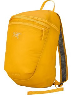 画像19: Arc'teryx アークテリクス ヒリアド 15 バックパック (X000010403) (19)