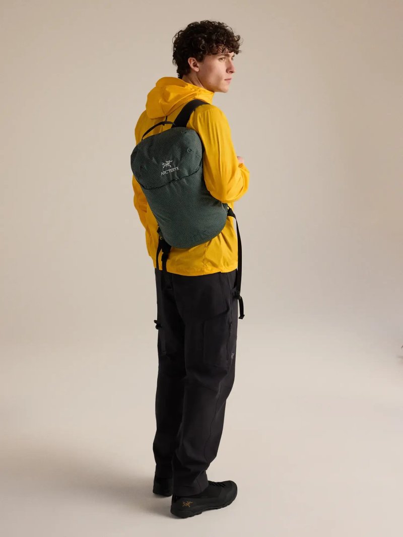 Arc'teryx アークテリクス コンシール 15 バックパック (X000010718)