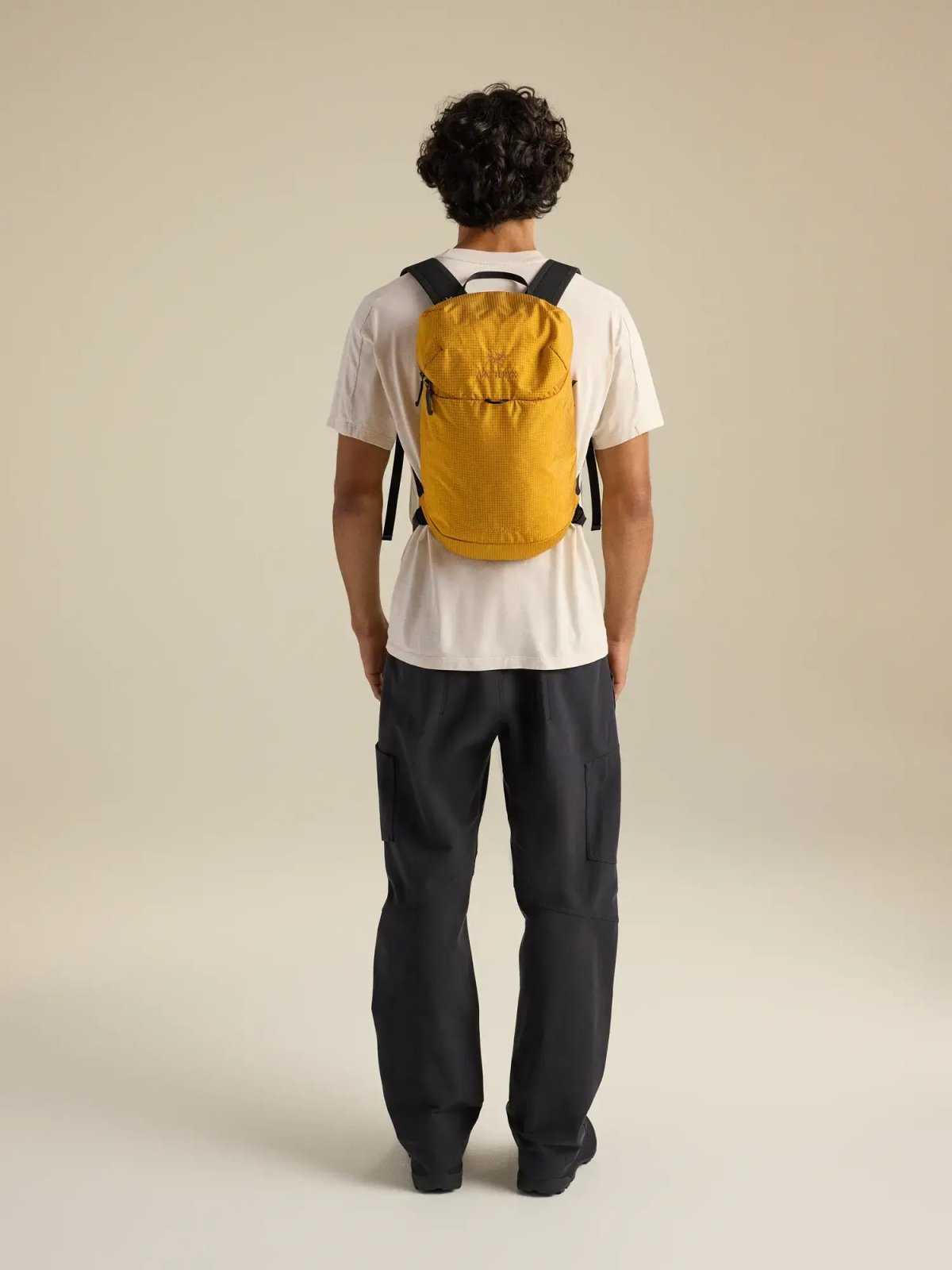 画像30: Arc'teryx アークテリクス コンシール 15 バックパック (X000010718) (30)