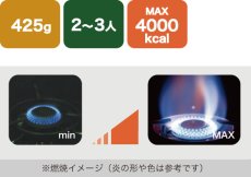 画像9: EPIgas APSA-III STOVE (S-1020) (9)