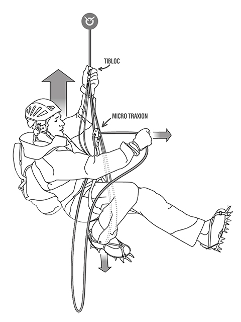 Petzl Tibloc ペツル タイブロック2つ