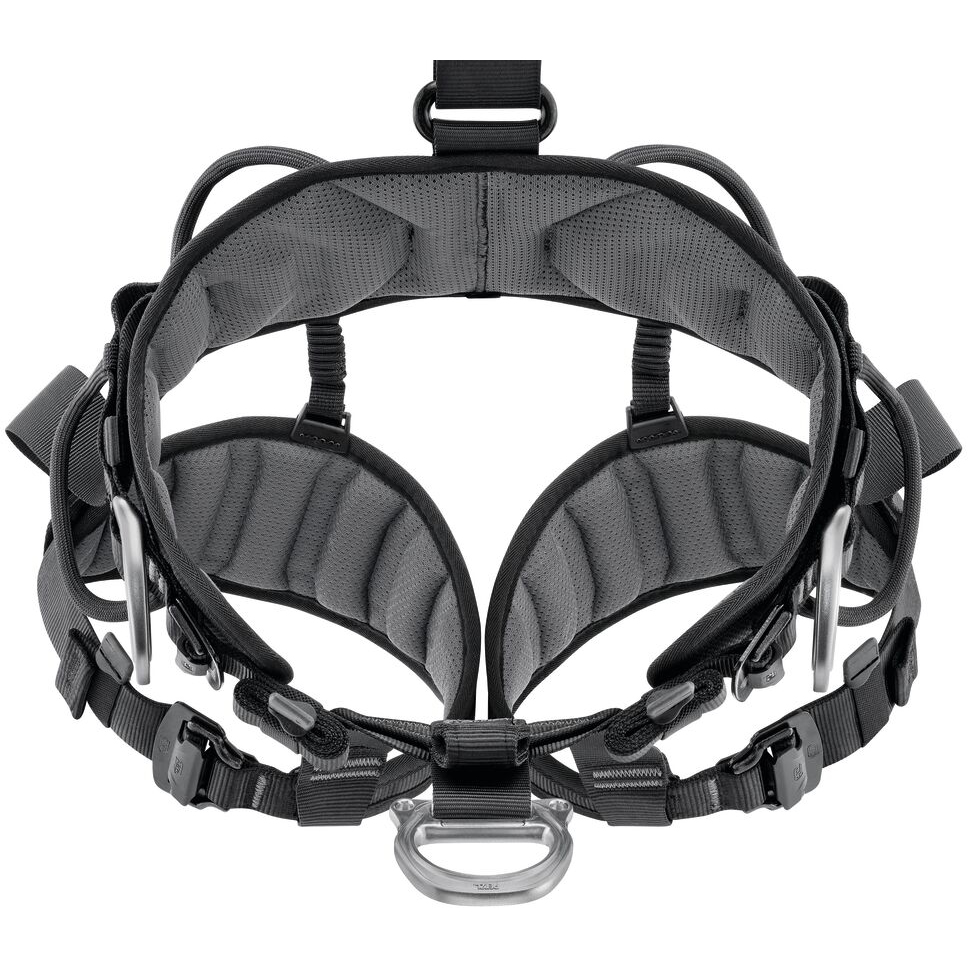 PETZL ペツル アバオ ボッド ファスト 欧州Ver. C071BA